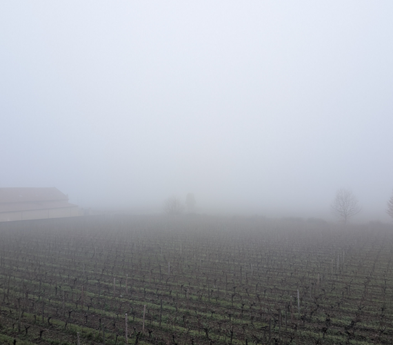 Bordeaux 2025 : Grand Cercle des Vins de Bordeaux