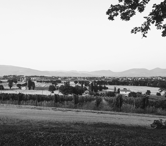 Montefalco Visits 2025 – Part 2