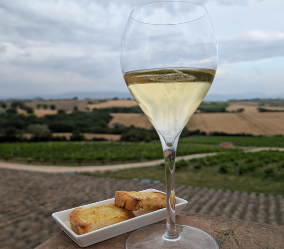 Montefalco Visits 2025 – Part 1
