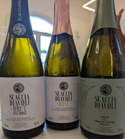 Sag Visits 1 Scaccia Bottles